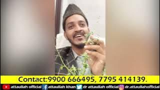 Fight all pet diseases with just 5 tips | Insha Allah | Dr. Attaullah Khan