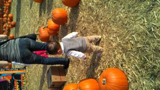 Pumpkin patch 2011