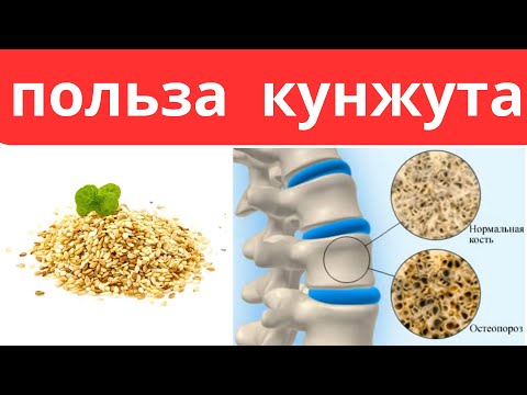 Что будет, если каждый день есть семена КУНЖУТА