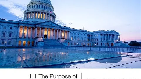 1 1   The Purpose of Government