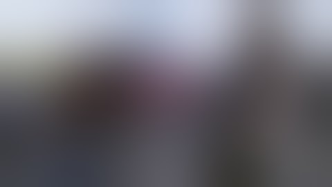 Female MMA fighters Repo