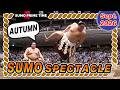 【AUTUMN SUMO SPECTACLE】 Onosato's Return to the Winner's Circle