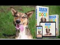 Brain Training For Dogs Book - Adrienne Farricelli FREE Dog Training Brain Training For Dogs Book - Adrienne Farricelli FREE Dog Training