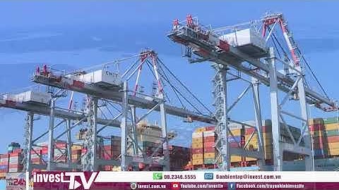 Doanh nghiệp EU xin làm trung tâm logistics Cái Mép Hạ gần 1 tỷ usd