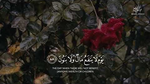 🌼🍁﴿لَقَد أَنزَلنا آياتٍ مُبَيِّناتٍ وَاللَّهُ يَهدي مَن يَشاءُ إِلى صِراطٍ مُستَقيمٍ﴾ 🌧️🌾