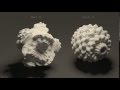 Maya Arnold procedural geometry - Mandelbulb - power 1 to 24