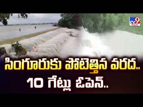 Singur Dam : సింగూరుకు పోటెత్తిన వరద..  10 గేట్లు ఓపెన్.. - TV9 - TV9