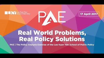 The Policy Analysis Exercise Experience