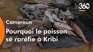 Cameroun: pourquoi l’activité de pêche ralentit et le poison se fait rare à Kribi