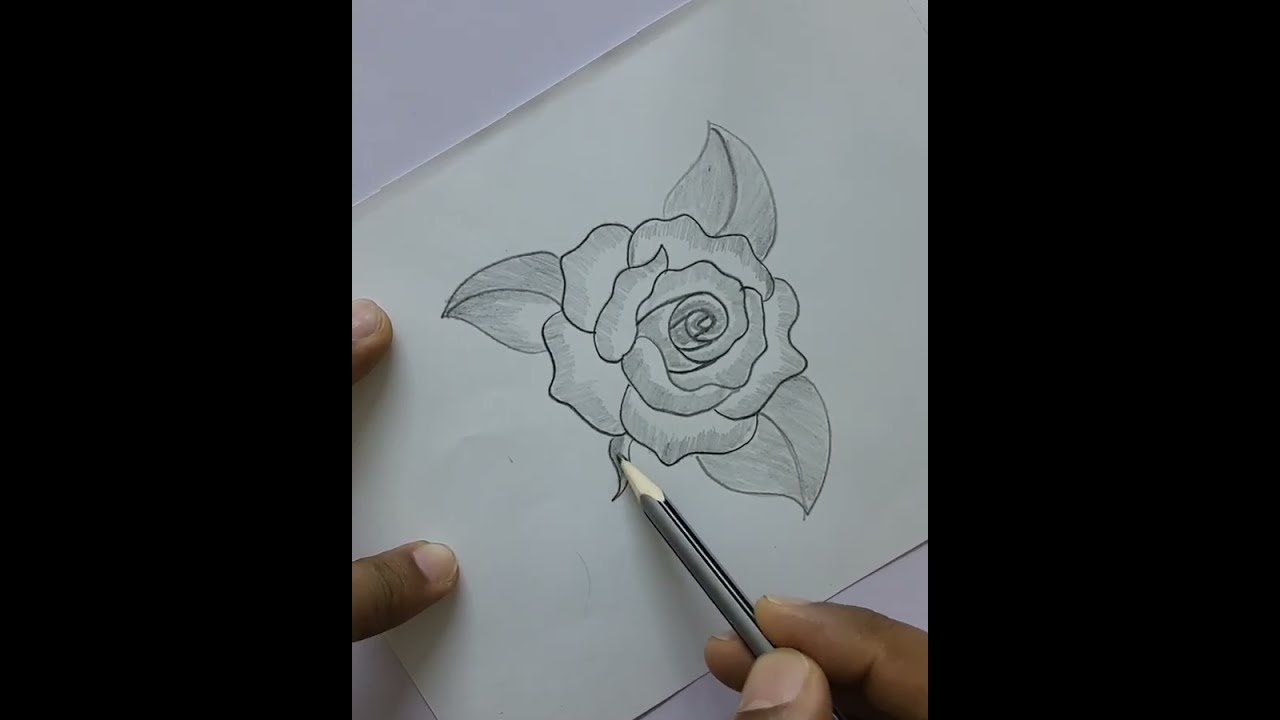 how to darw roseflowers# 3Drose