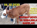 Kochat novos va gunajin Qsr mollar narxlari  andijon Shaxrixon xoldonbek Joja mol bozori 06.10.2020