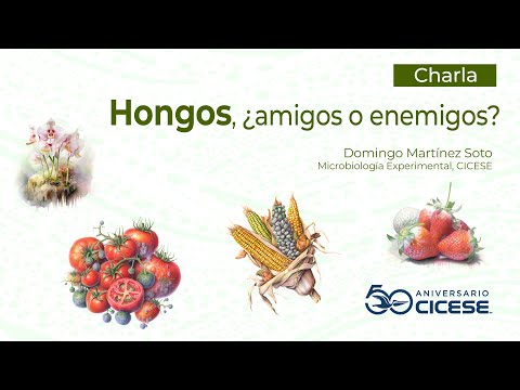Charla: Hongos, ¿amigos