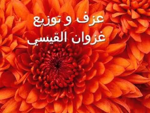كطرة ندى محمد عبد الجبار عزف وتوزيع غزوان القيسي