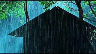 🔴 Heavy Rain on a Tin Roof for Sleeping 24/7, Sleep Instantly with Rain Sounds & Thunder at Night