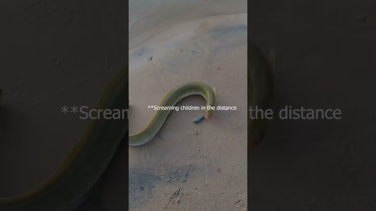 Eel in Arkansas River!