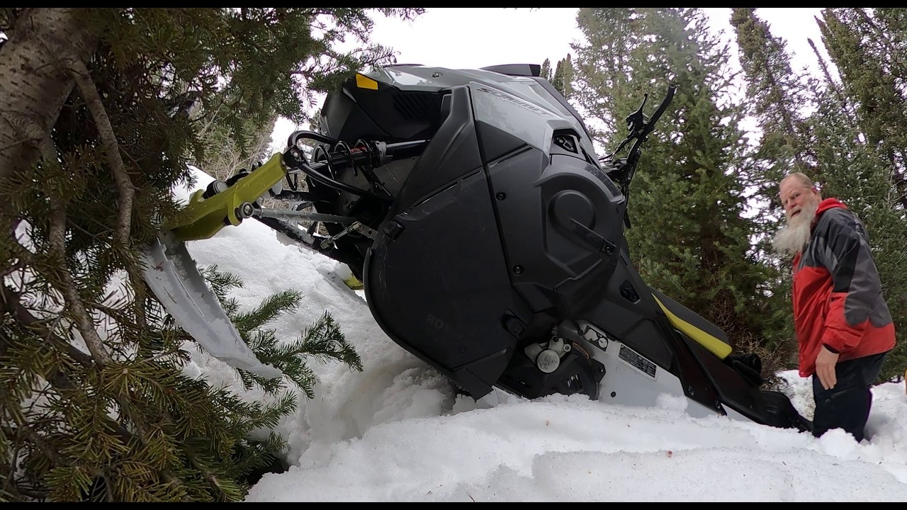 Murphy's Law  -  Mar 1, 2026