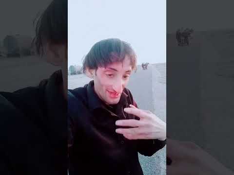 ابو صكر الختياري يكولون العراقي عندة غيرة شوف الدراجة عطلانة كلة تعرفني ومحد يوكفلي Shorts