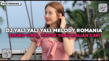 DJ YALI YALI YALI MADE IN ROMANIA X MELODY HABIBI VIRAL TIKTOK 2025  SMXXL X QUEEN FIRA