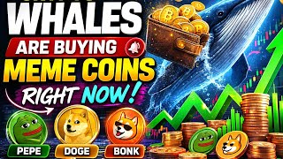 Crypto WHALE BUYS IN PEPE, DOGE, BONK - PRICE EXPLOSION INCOMING?