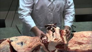 BEEF U 2014 Cuts of Beef Part 7 Beef Loin