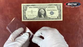 BCW Regular Bill Currency Sleeves