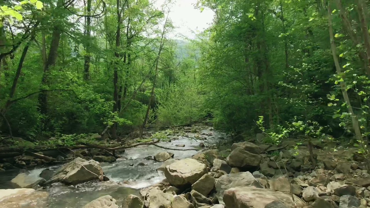 Soft Running River | Calm Stream | Background Sound for RPG | Tabletop Role Playing Game Ambience