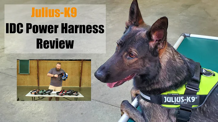 Recension av Julius-K9 IDC Power Harness av Protection Dog Sales