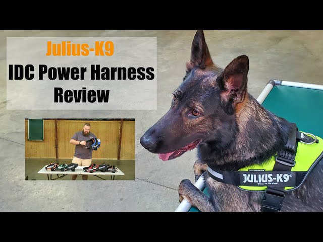 Julius-K9 IDC Power Harness Review by Protection Dog Sales 