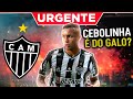 💣 CEBOLINHA NO GALO? 😱 INFORMAÇÃO BOMBÁSTICA ✅ CONFIRA