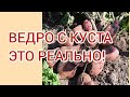 КАК ПОВЫСИТЬ УРОЖАЙНОСТЬ В РАЗЫ!!!🌱Хватит копать пустую землю!