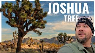Joshua Tree Weekend: Epic Sunset Spots + Retro Eats