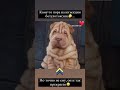 Инста @doc.cosmetolga