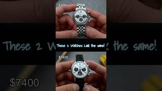 $199 vs $7400 Panda Chronographs