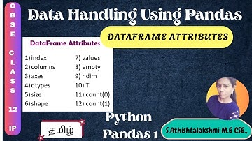 Class 12 IP Ch 1: Data Handling using Pandas | Pandas DataFrame | DataFrame  Attributes | Part 8