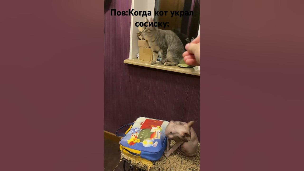 Где моя сосиска?!?! - YouTube