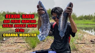 ANGKAT 20 PERANGKAP DAN BERBURU IKAN MONSTER DI SARANG TOMAN DAN CHANNA MARU? 130 bocahpecicilan