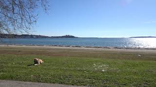 At the beach in Boiro, Galicia