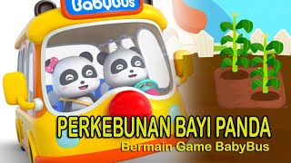 Perkebunan dan Peternakan Bayi Panda - Game BabyBus screenshot 5