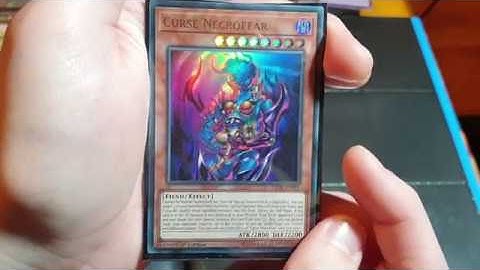 ASMR Binder Update YuGiOh Immortal Destiny Card Sorting | YuGiCurt