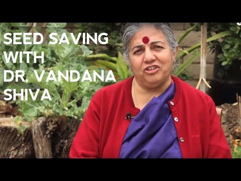Saving Seeds at Home with Vandana Shiva 