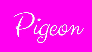 Learn how to Write the Name Pigeon Signature Style in Cursive Writing