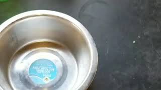 How I Feed A Nursing Dog