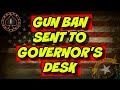 Nevada Sent Massive Firearm Ban To Governor's Desk AB245