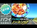 ハワイ🌺【夫婦旅①】海老を食べる!デルタ航空 関空→ホノルル→レンタカーでノースショア(ジョバンニ、カマロン)【ぽや旅】Honolulu Vacation Vlog 2018 - HAWAII