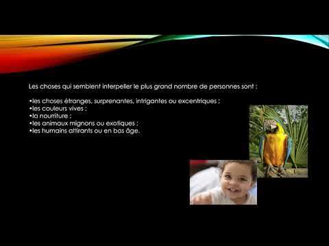 MARKETING DIGITAL  PART 3 CHAP1 & 2
