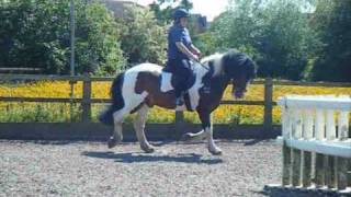 Louie 13/6/2009