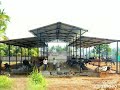 Dairy Shed - Different Design