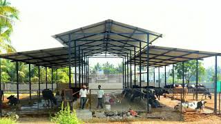 Dairy Shed - Different Design