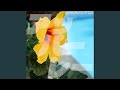 アッパーレー (2022ver.-(Instrumental))