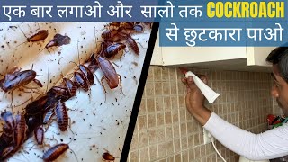 Best cockroach treatment chemical | Odorless cockroach treatment chemical | Cockroach control